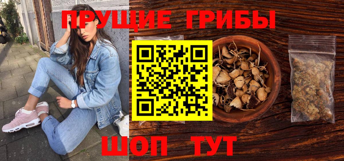 Псилоцибиновые грибы Cubensis  купить  сайты  Коряжма  Вход с VPN 